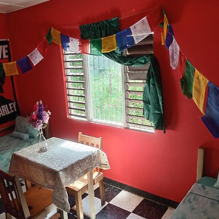 Toga Guest House Port Antonio Zewnętrze zdjęcie