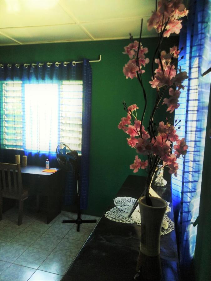 Toga Guest House Port Antonio Zewnętrze zdjęcie