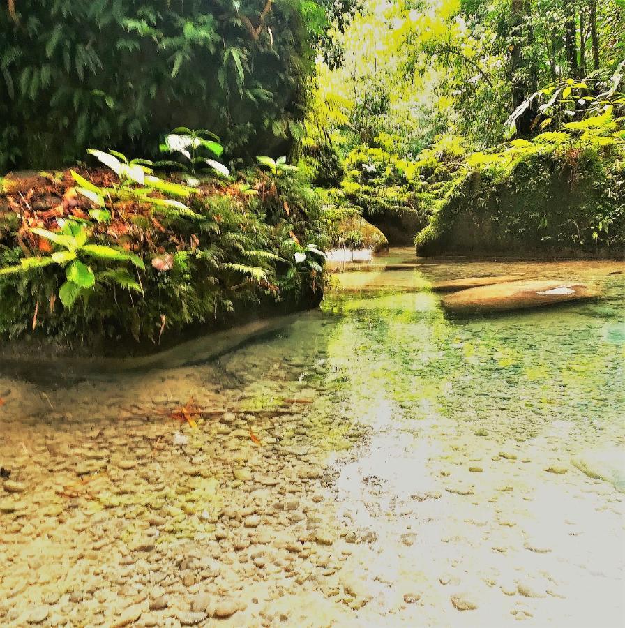 Toga Guest House Port Antonio Zewnętrze zdjęcie