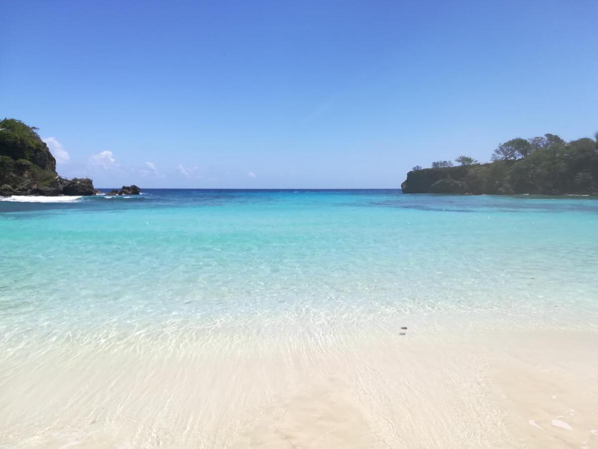 Toga Guest House Port Antonio Zewnętrze zdjęcie