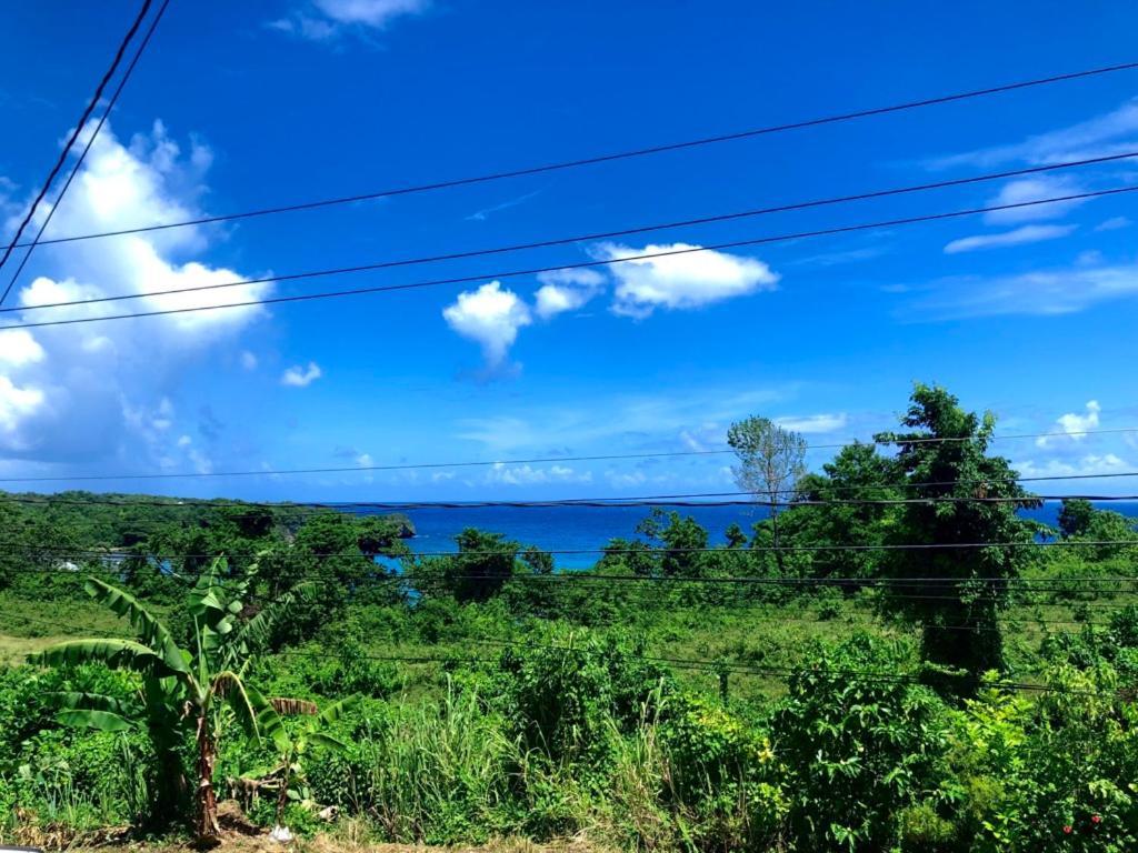 Toga Guest House Port Antonio Zewnętrze zdjęcie