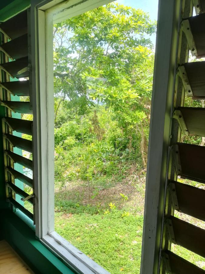 Toga Guest House Port Antonio Zewnętrze zdjęcie