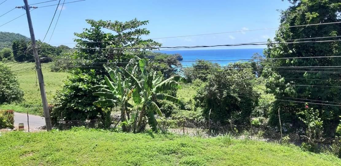 Toga Guest House Port Antonio Zewnętrze zdjęcie